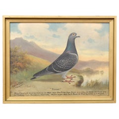 Antique Racing Pigeon Oil Painting on Canvas Art by Renowned English Artist Andrew Beer