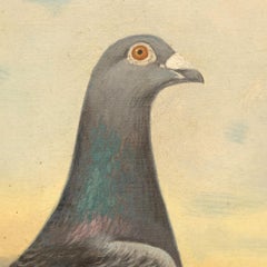Racing Pigeon Oil Painting on Canvas Art by Renowned English Artist Andrew Beer