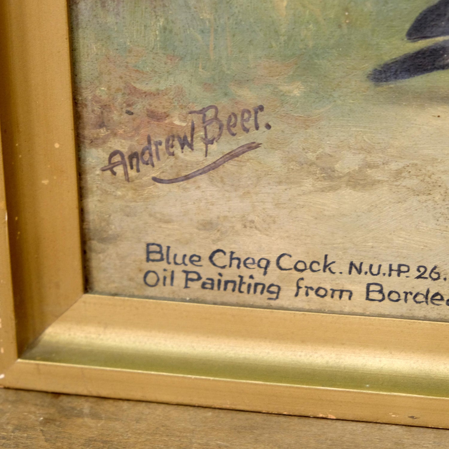 Racing Pigeon Oil Painting On Canvas By Renowned Artist Andrew