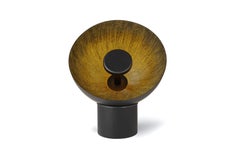 Radar Floor Lamp with an Hemispherical Lampshade by Disain1971