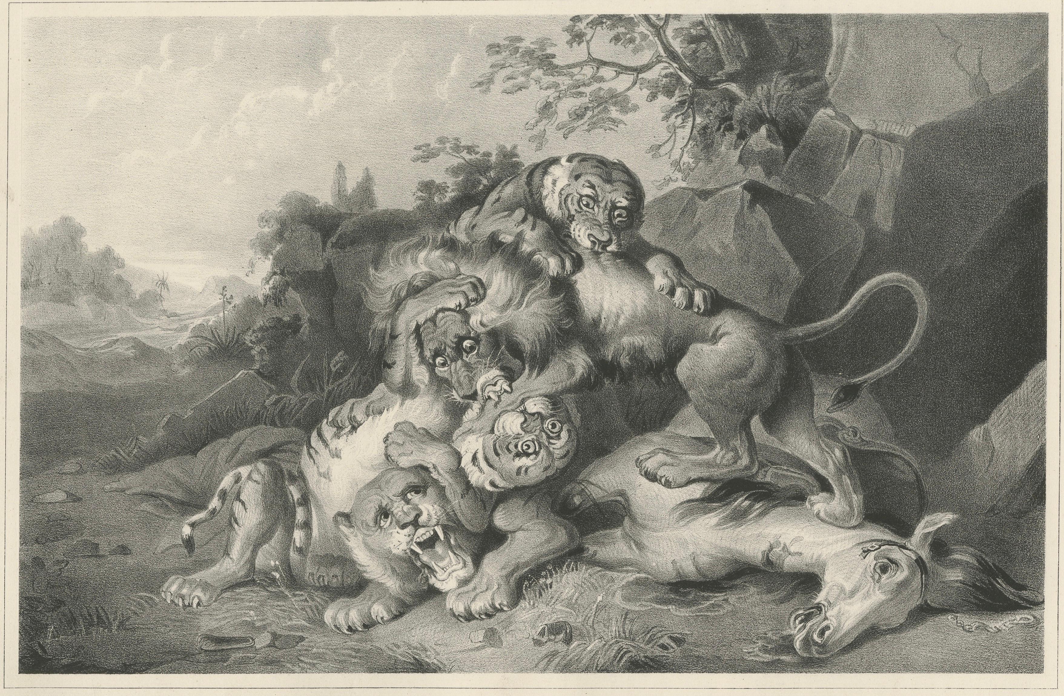 Raden Saleh Tigers & Lions Fight Horse Lithograph, The Hague c.1845