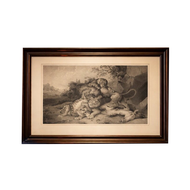 Raden Saleh Tigers & Lions Fight Horse Lithograph, The Hague c.1845