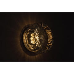 Radial Wall Sconce in Aged Brass & Hand-Blown Glass by Nuumbra