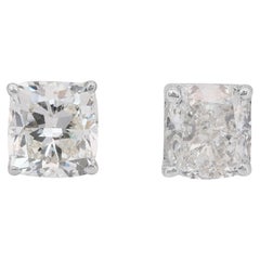Stud Earrings