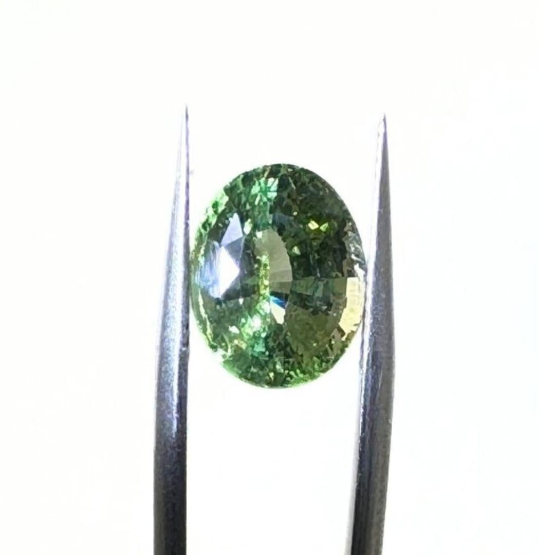 Radiant 6.99ct Apatite Gemstone - GIA Certified For Sale 2