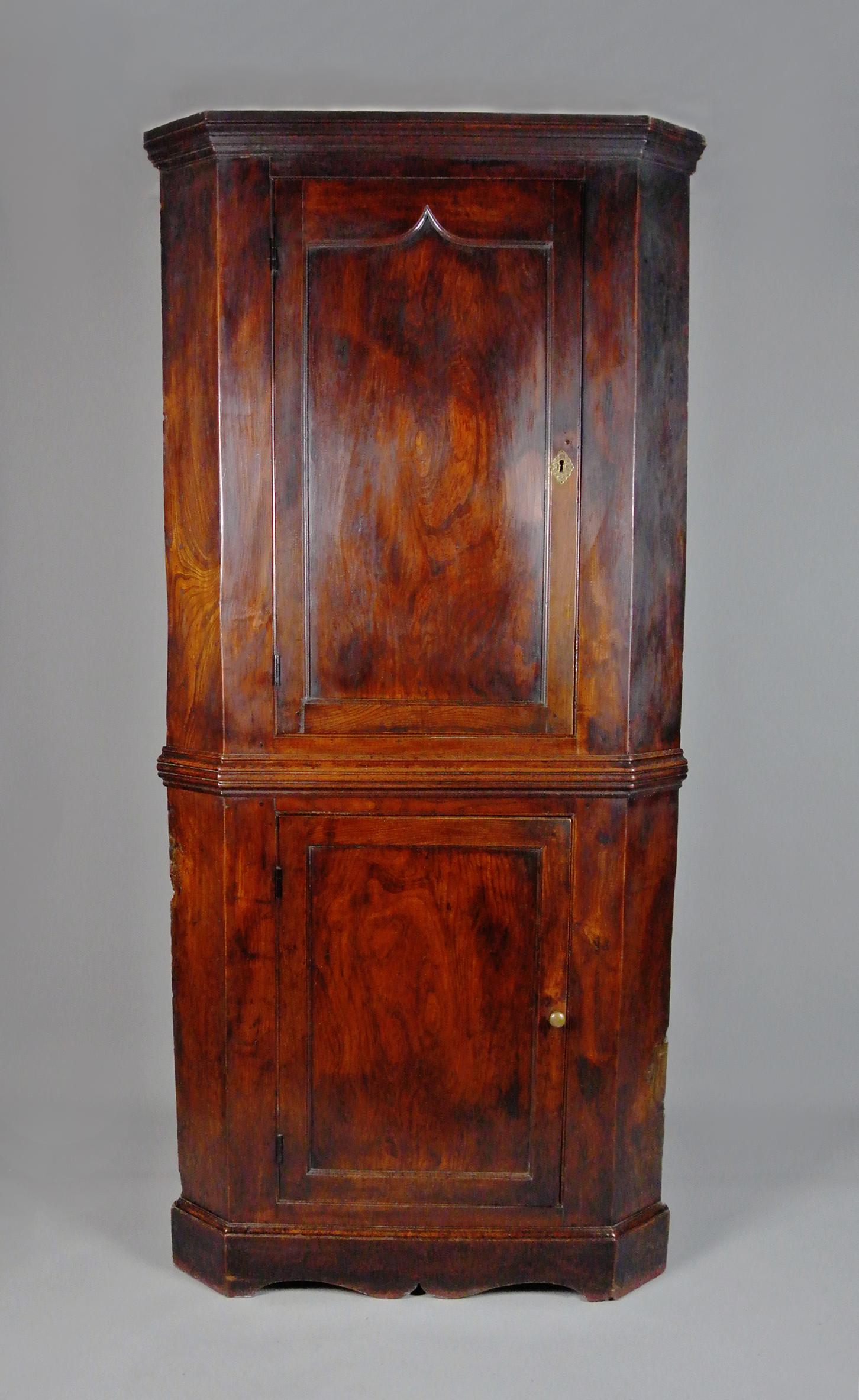 Radiant George III Solid Elm Corner Cupboard c. 1800 In Good Condition For Sale In Heathfield, GB