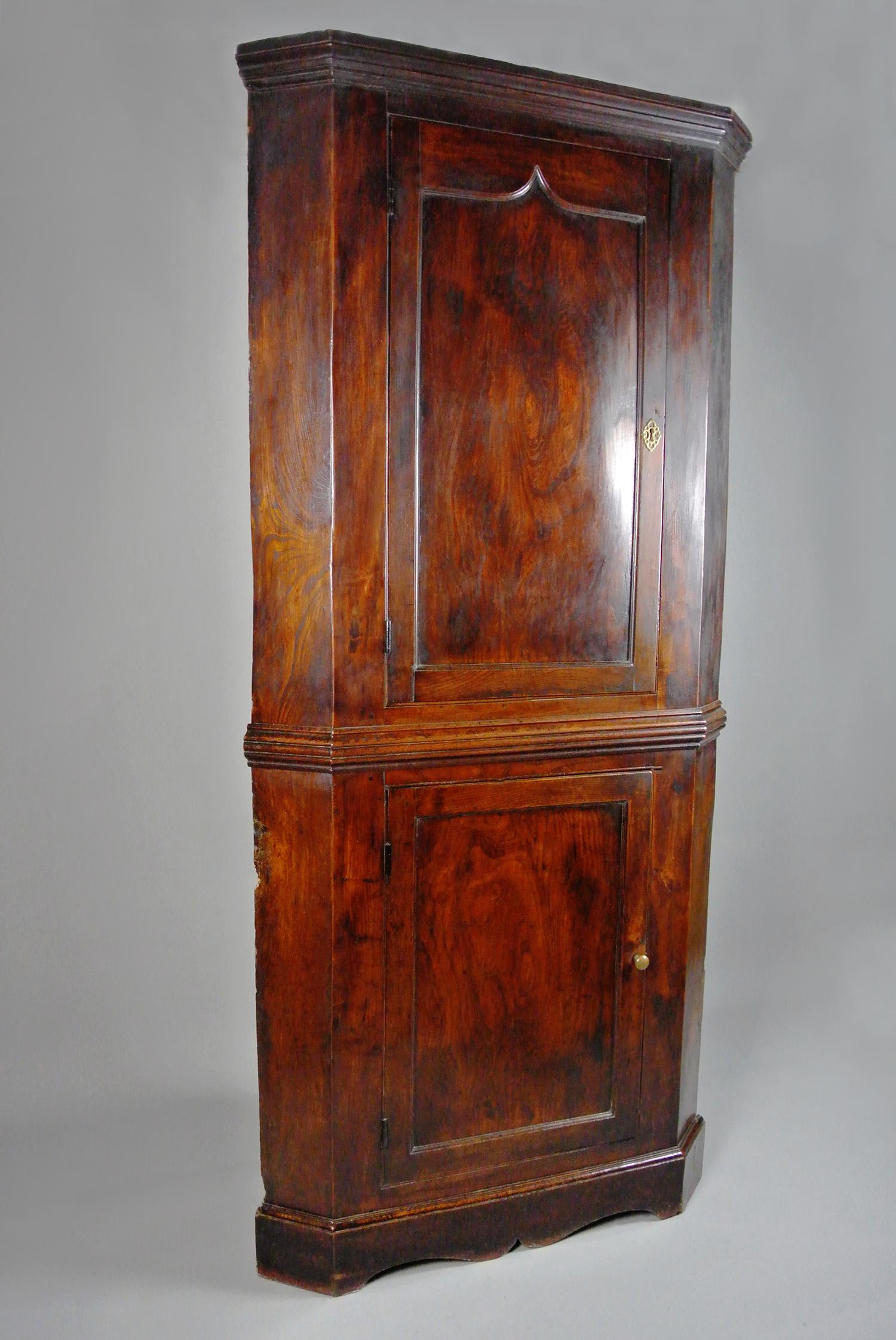 18th Century and Earlier Radiant George III Solid Elm Corner Cupboard c. 1800 For Sale