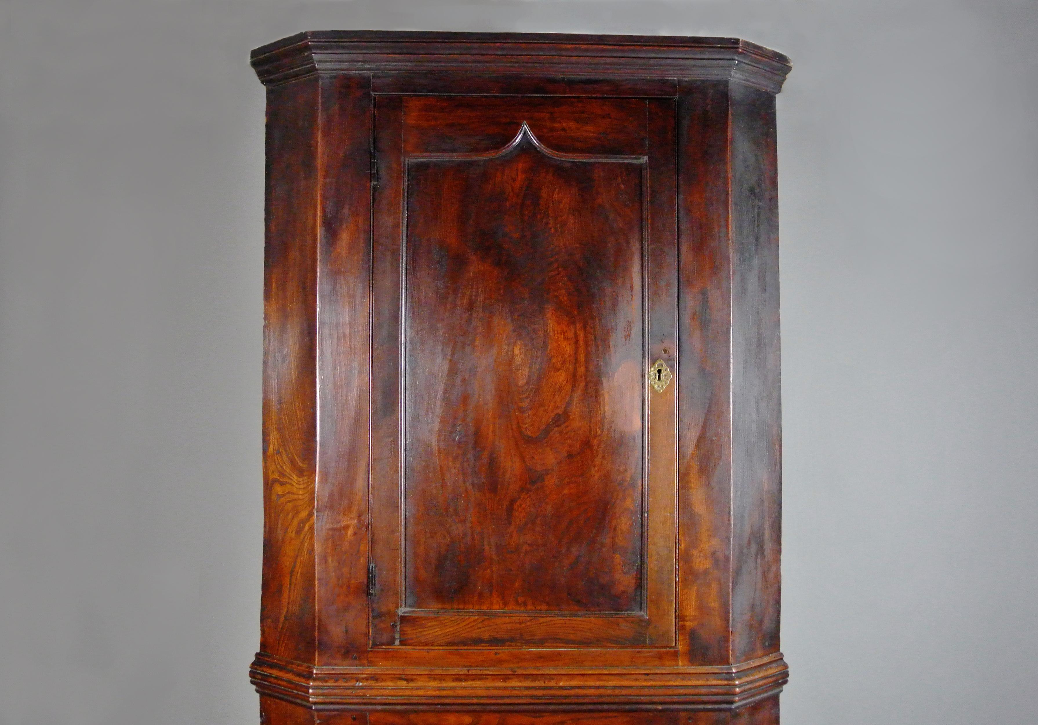 Radiant George III Solid Elm Corner Cupboard c. 1800 For Sale 2