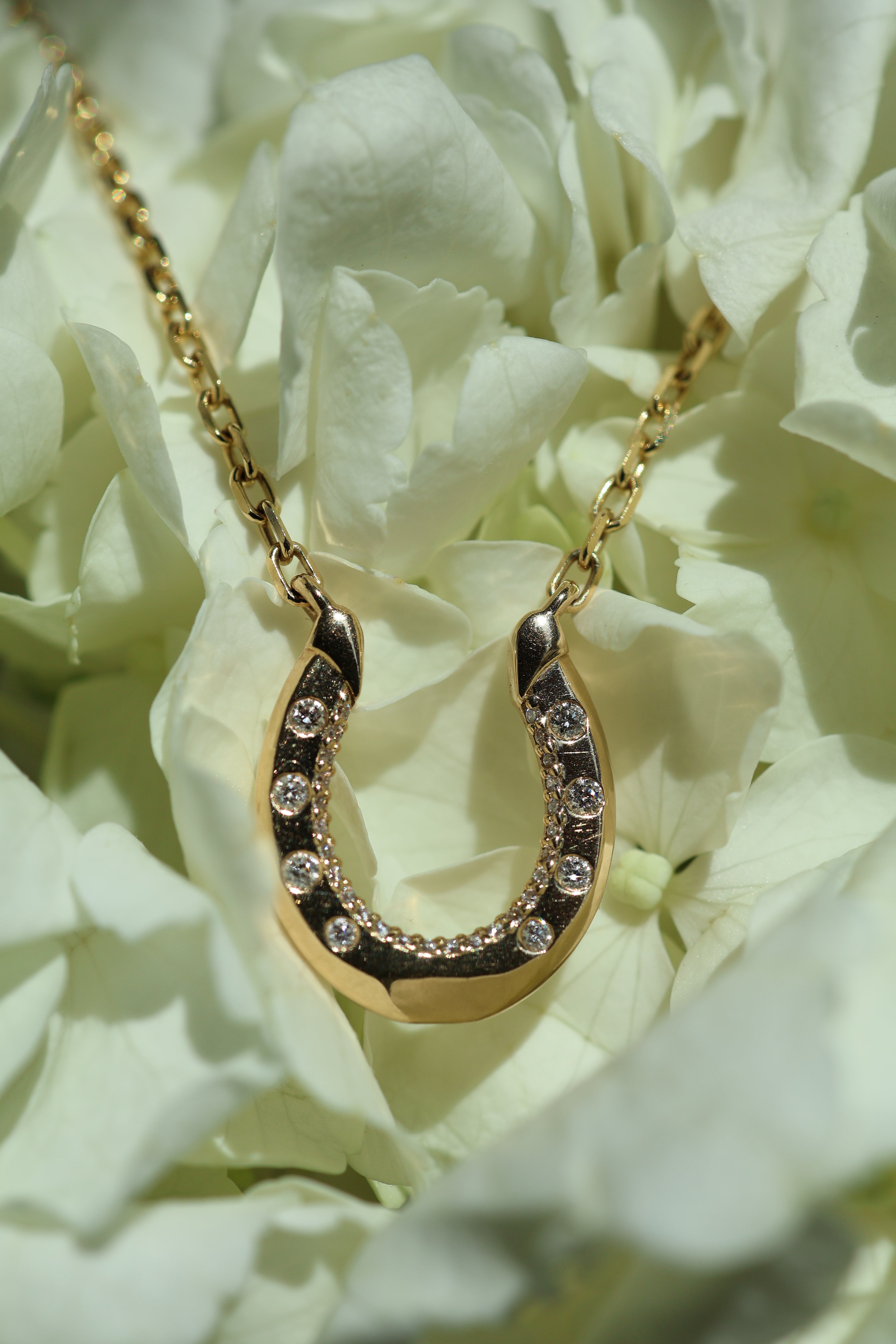 Radiant Hoof Talisman Reiter-Halskette im Angebot