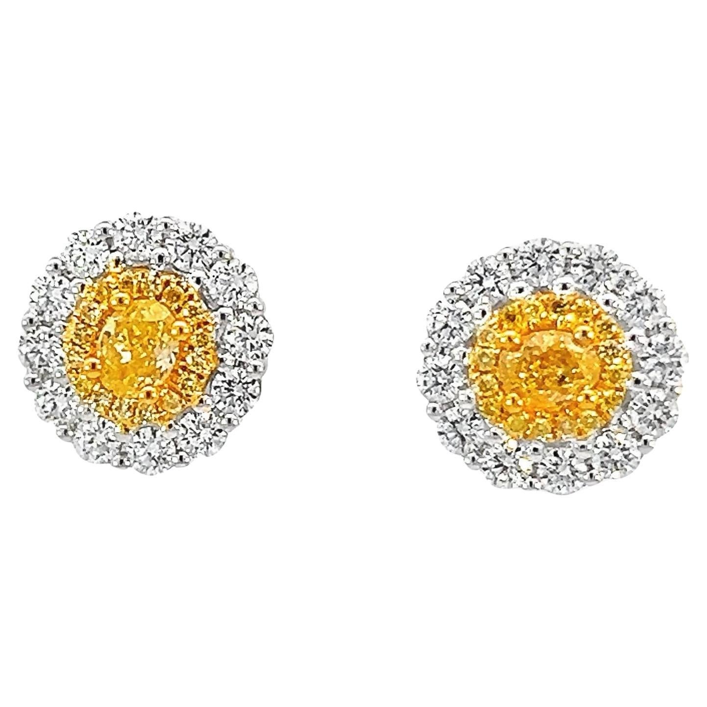 **Radiant Yellow & White Diamond Halo Earrings in 18K Gold**