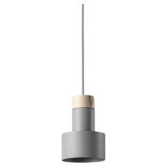 Radius Grey Pendant Lamp by +kouple