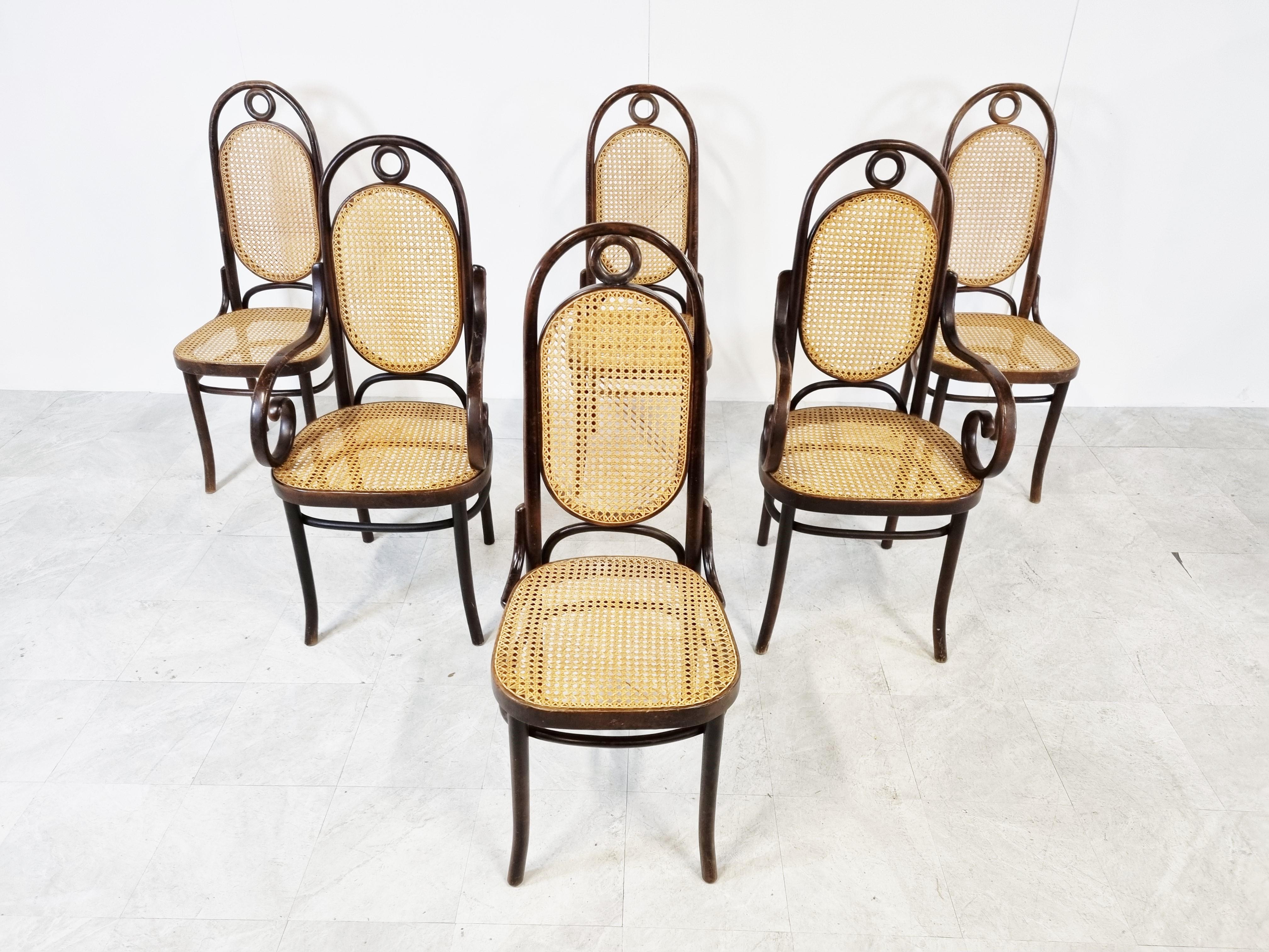 Art Nouveau Radomsko Dining Chairs, Set of 6, 1950s