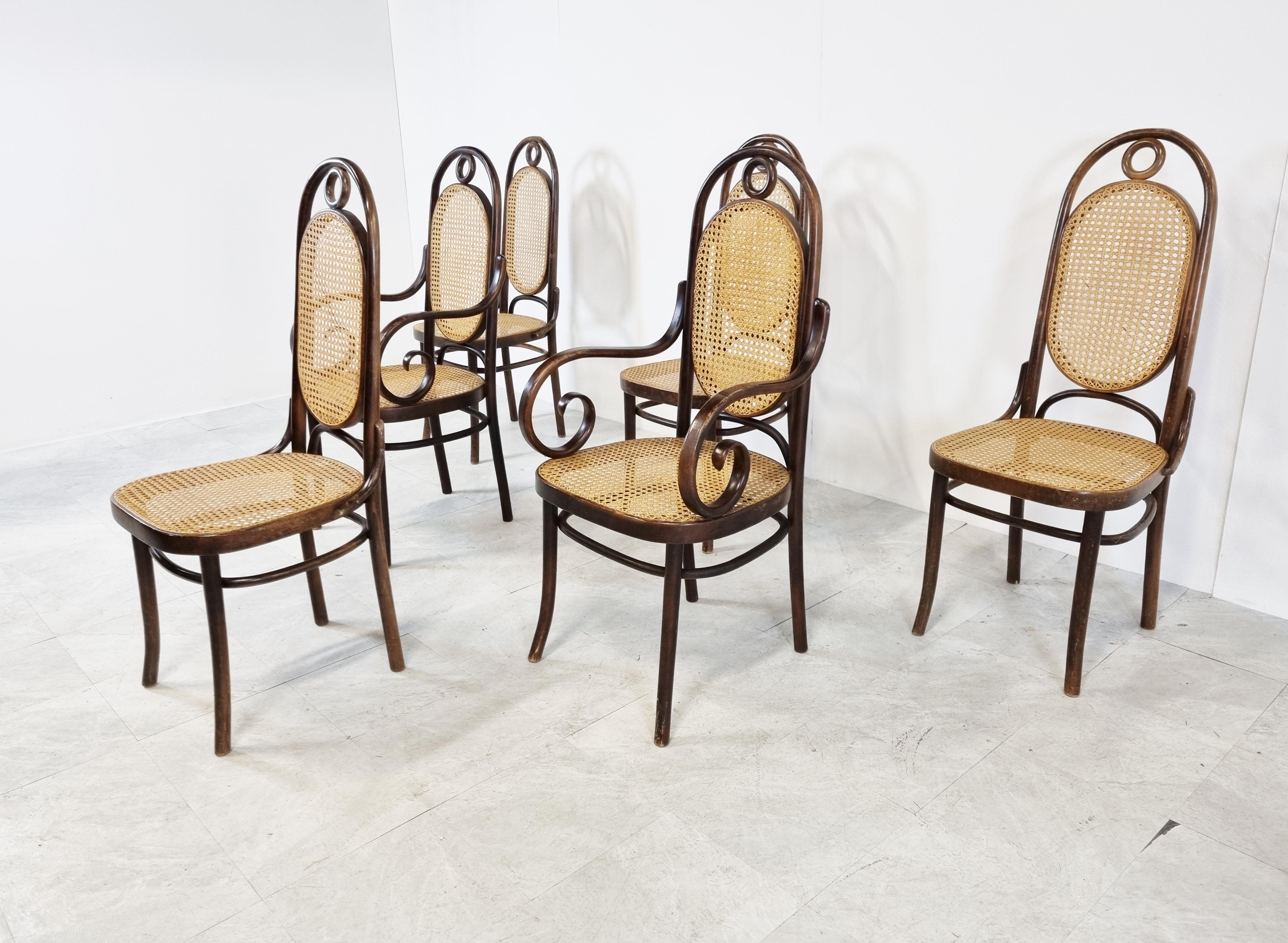 Radomsko Dining Chairs, Set of 6, 1950s In Good Condition In HEVERLEE, BE