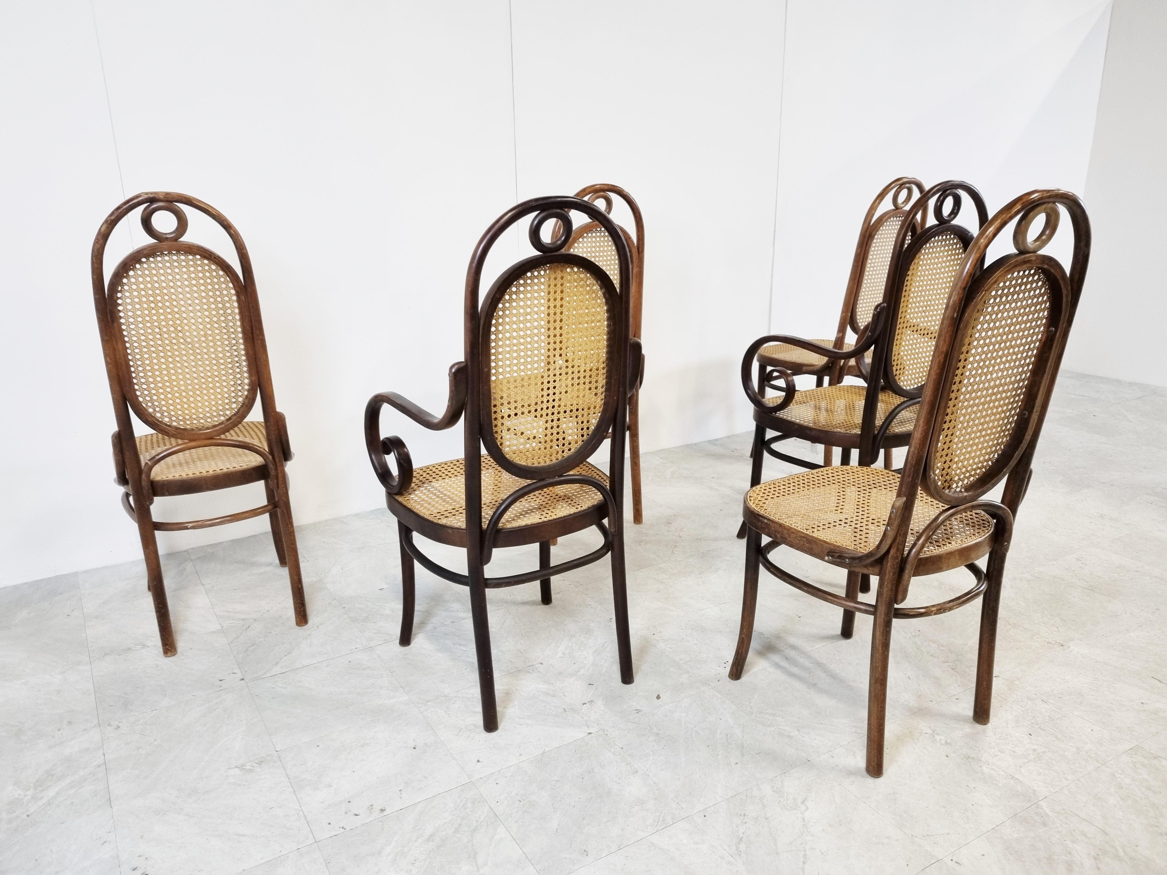 Radomsko Dining Chairs, Set of 6, 1950s 1