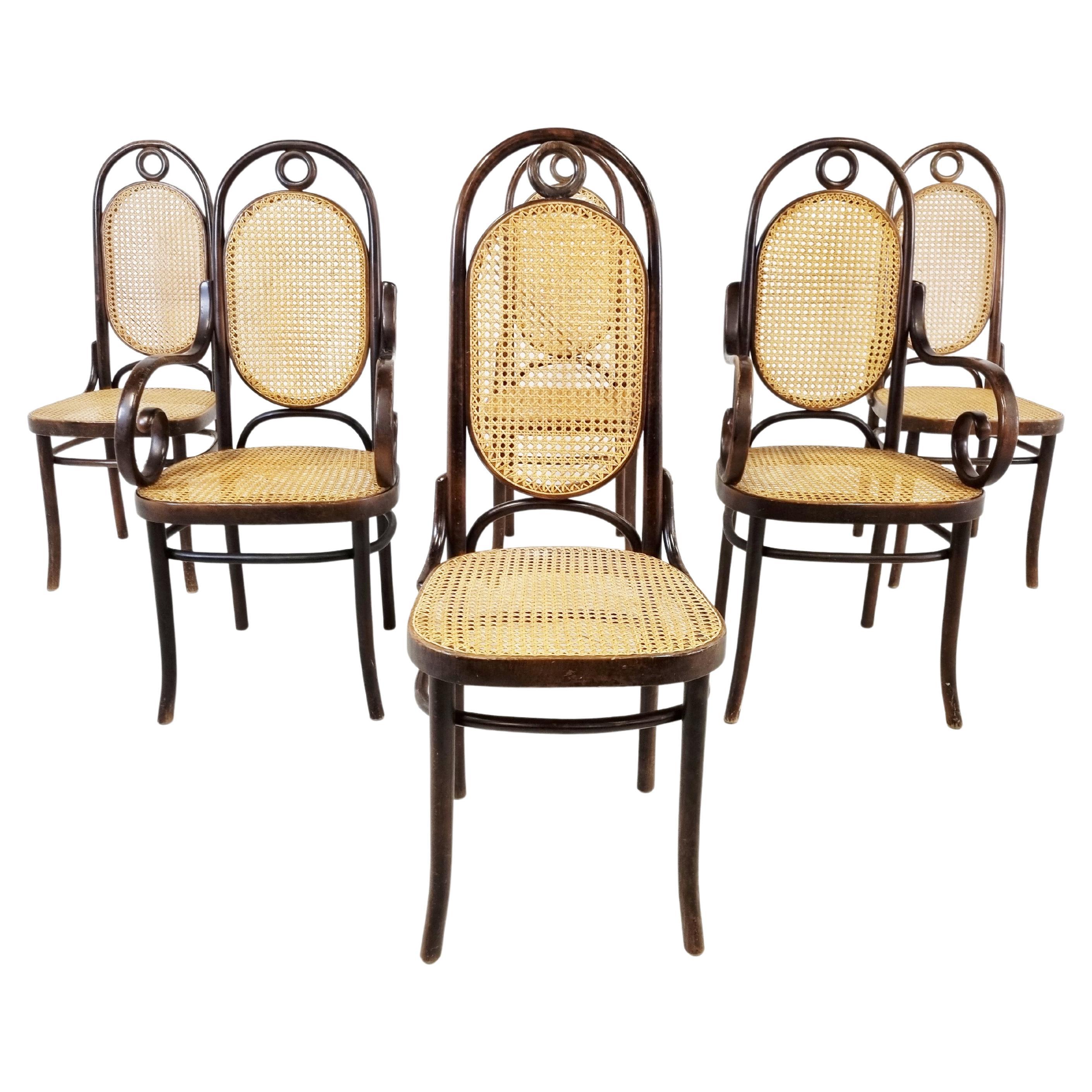 Radomsko Dining Chairs, Set of 6, 1950s