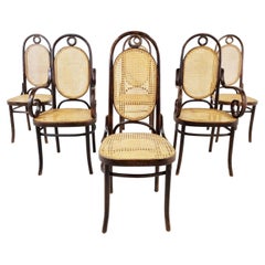 Radomsko Dining Chairs, Set of 6, 1950s