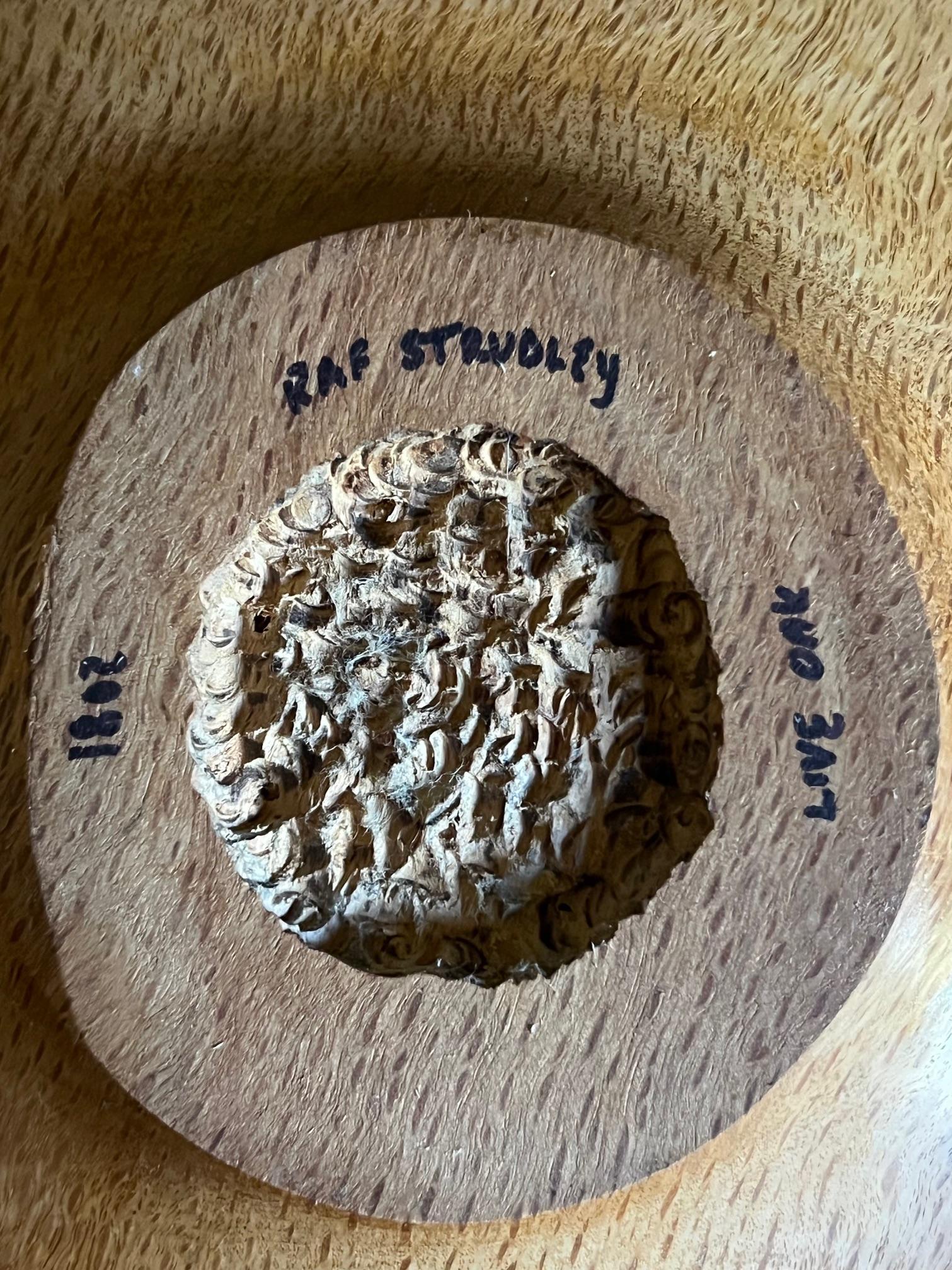 American Raf Strudley Hand Carved Live Oak Bowl From Ben Lomand Turning Studio For Sale