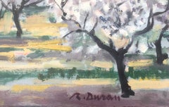 mandorli in fiore Spagna pittura ad olio paesaggio spagnolo