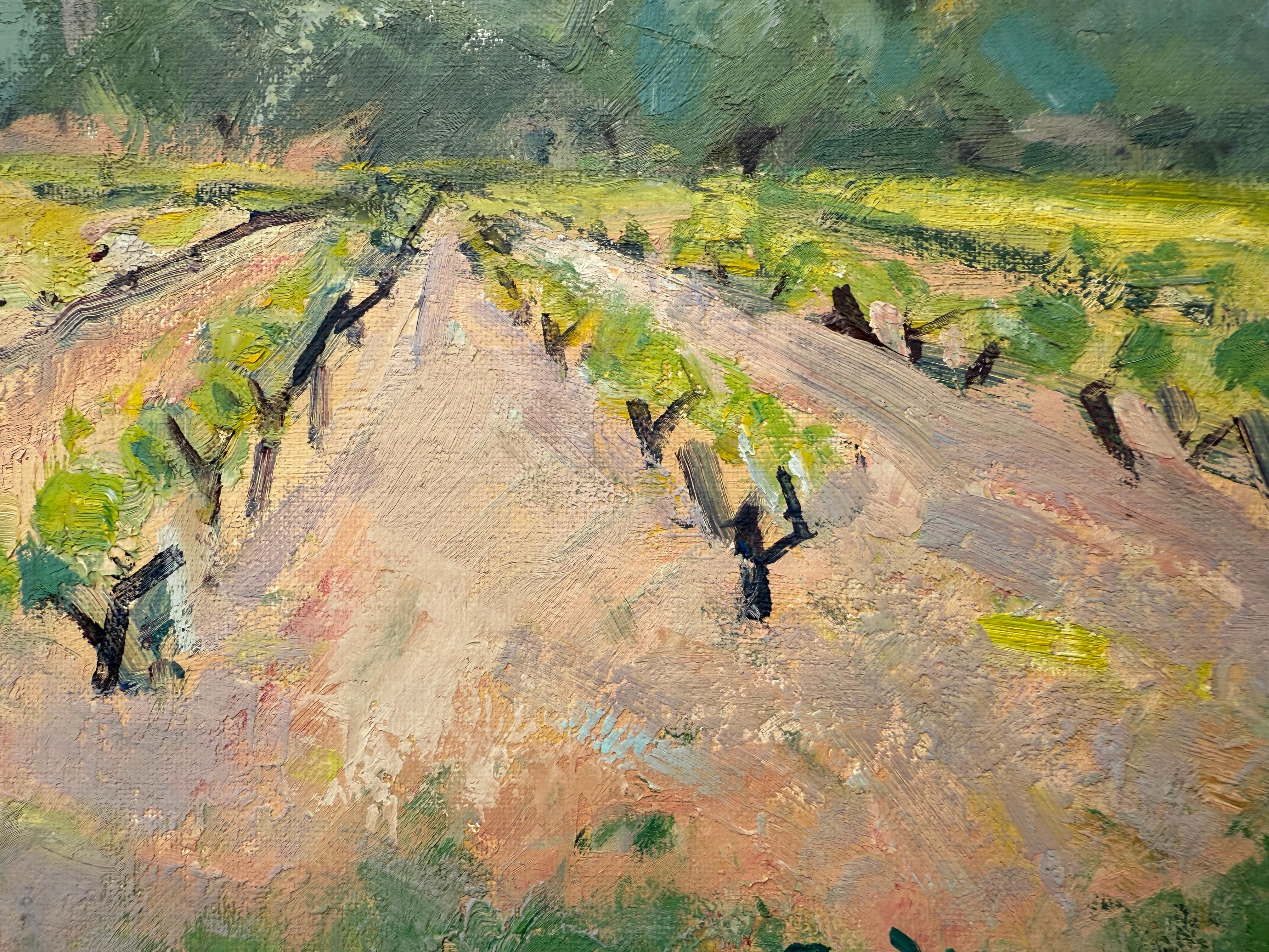 Vineyard Landscape with Distant Mountains, peinture à l'huile Espagne Europe - Post-impressionnisme Painting par Rafael Duran Benet
