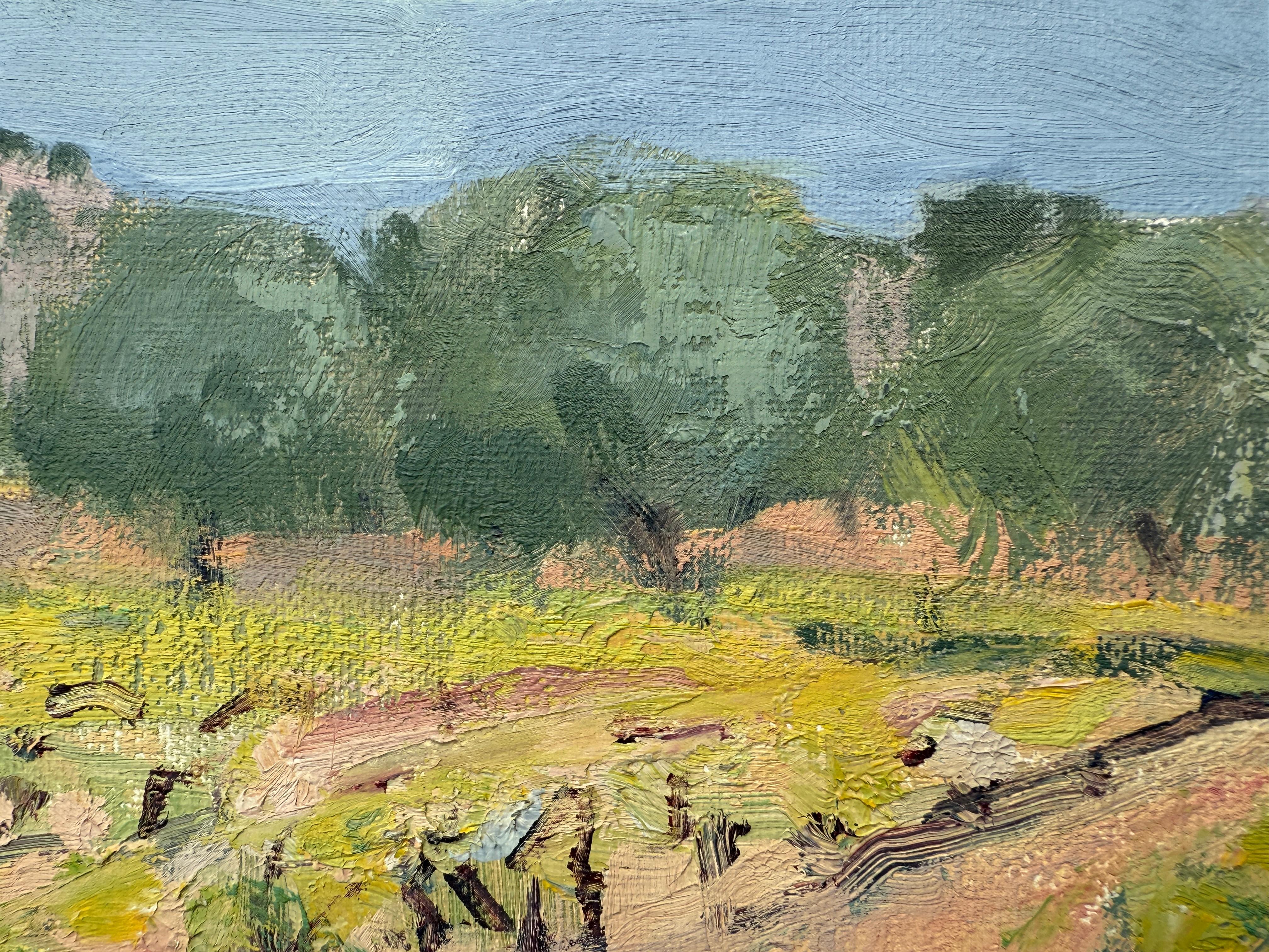 Titre : Paysage de vignoble avec montagnes lointaines

Artistics : Rafael Duran Benet

Technique : Huile sur carton apprêté

Dimensions : 13 x 16.1 in

Encadrement : Non encadré

Signature : Signé 