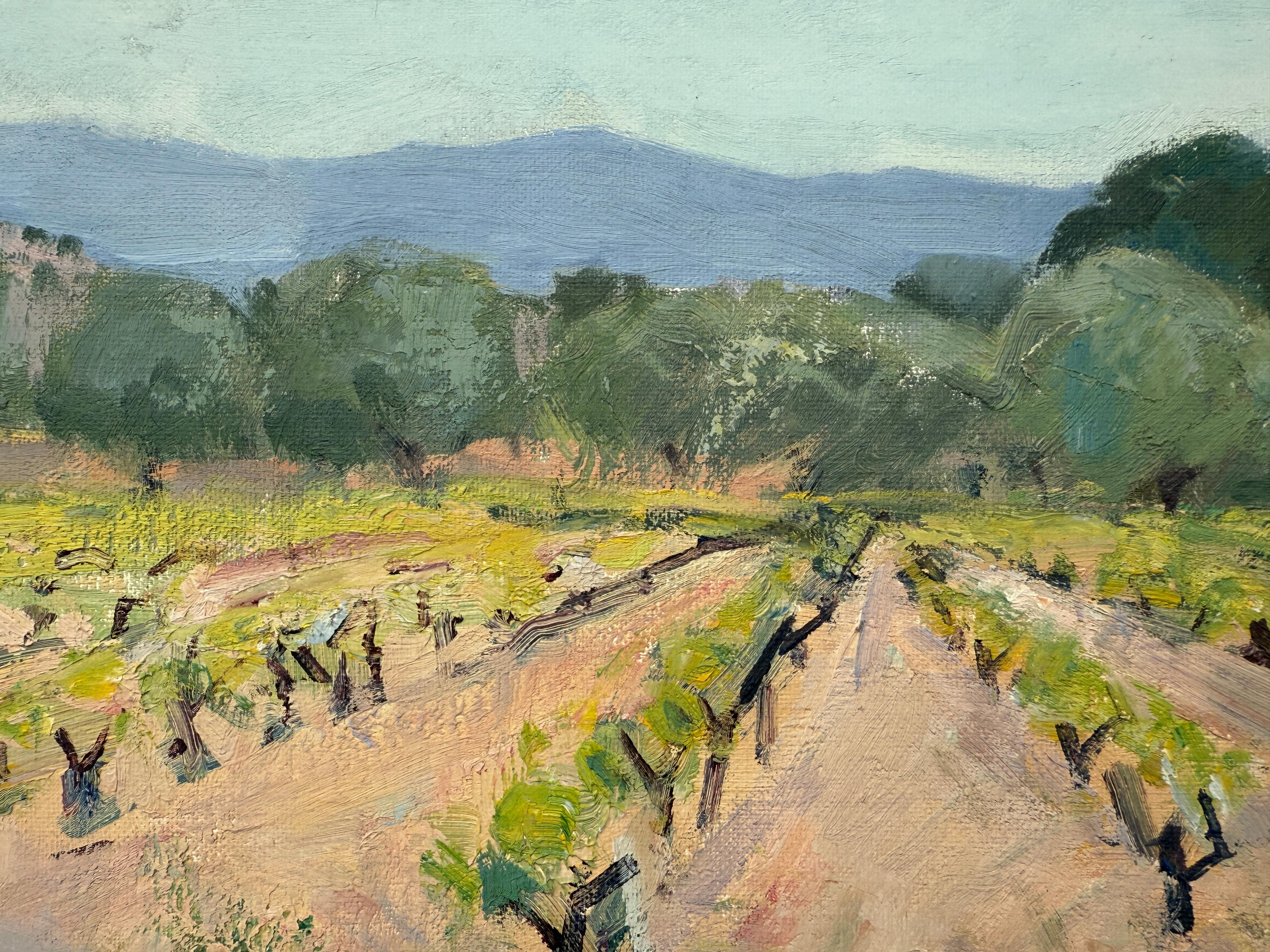 Vineyard Landscape with Distant Mountains, peinture à l'huile Espagne Europe 2