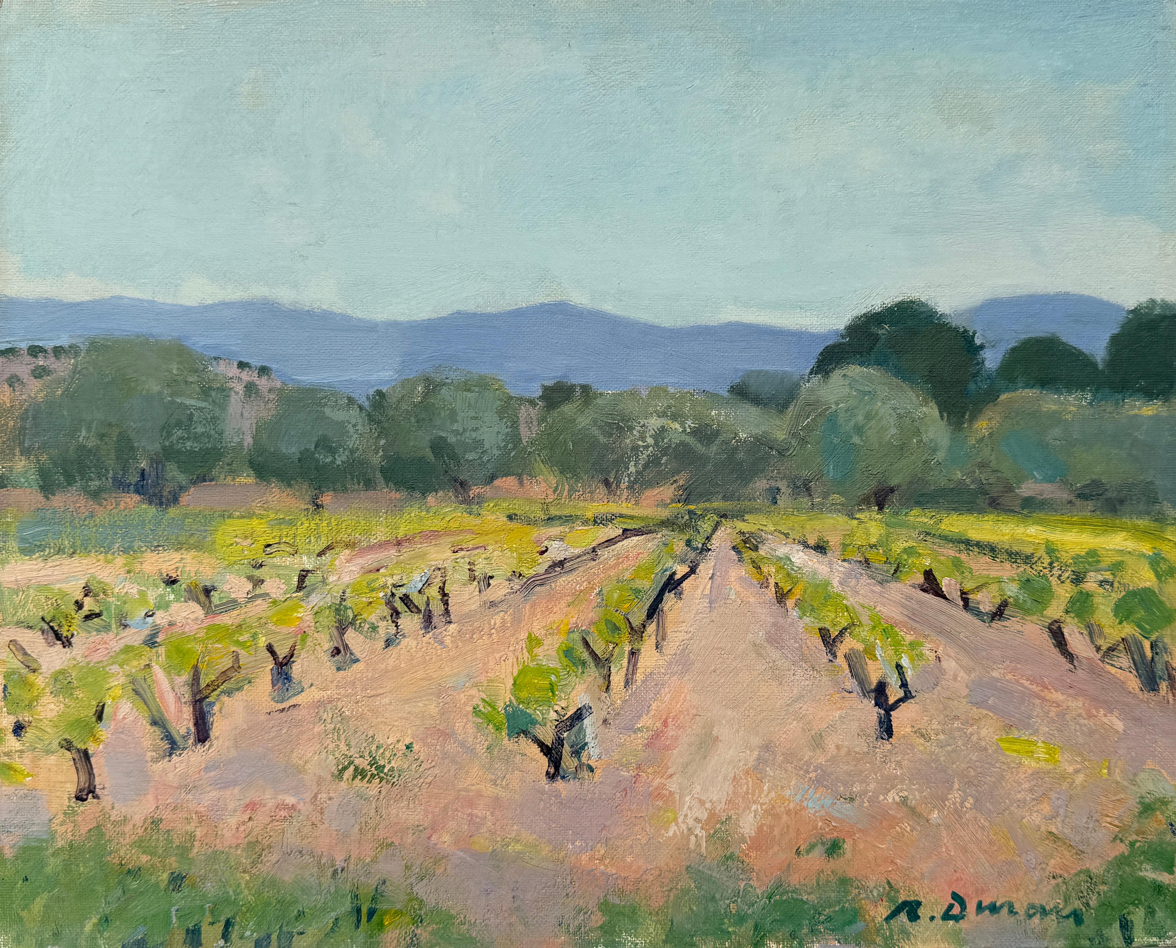 Landscape Painting Rafael Duran Benet - Vineyard Landscape with Distant Mountains, peinture à l'huile Espagne Europe