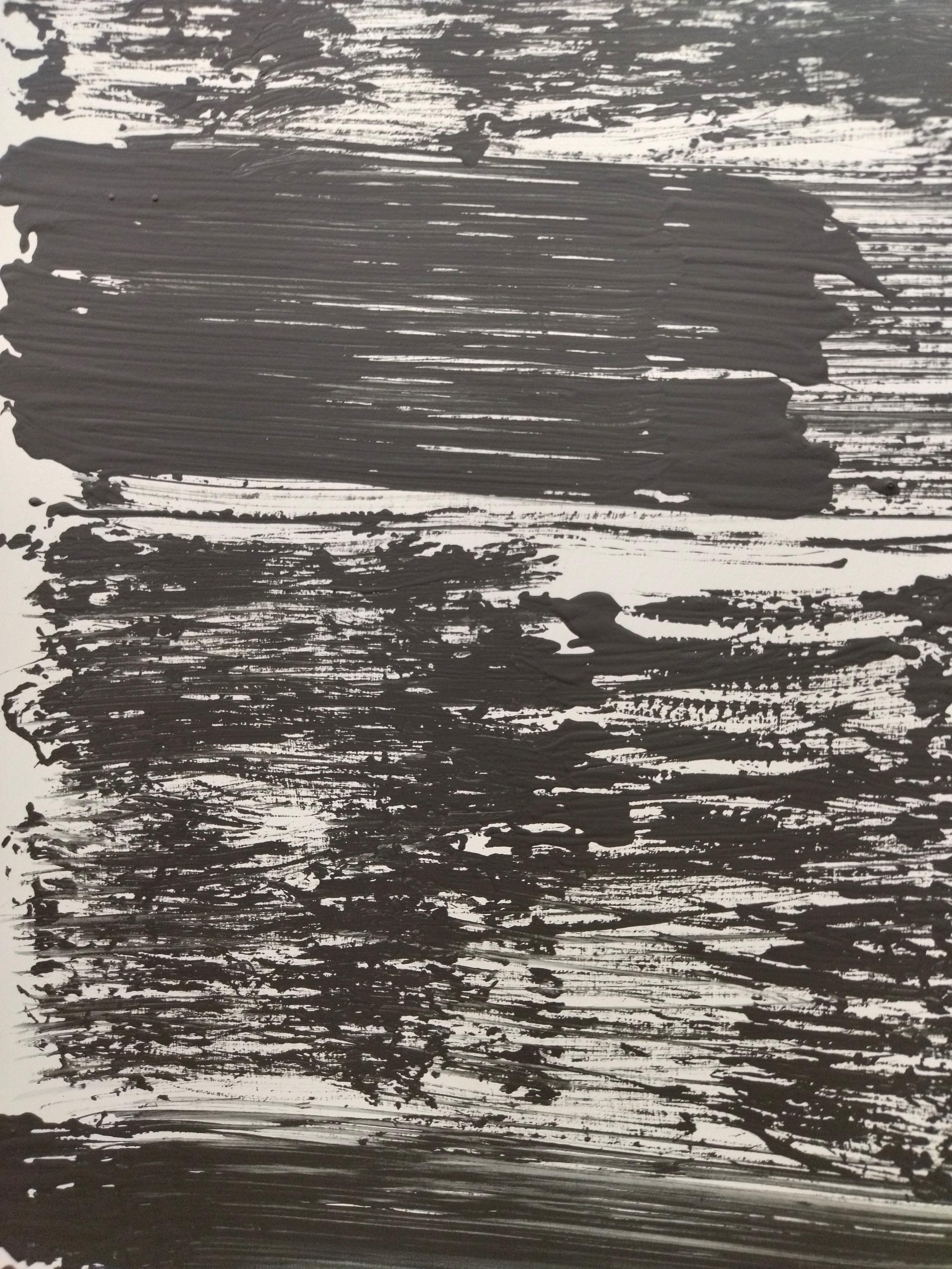 Ruz  Gray Black Qui Primitivum est. Landscapes -  Abstract Acrylic  Painting For Sale 3