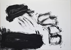 Ruz  Blanco y negro  Qui Primitivum est. Paisajes -    Pintura