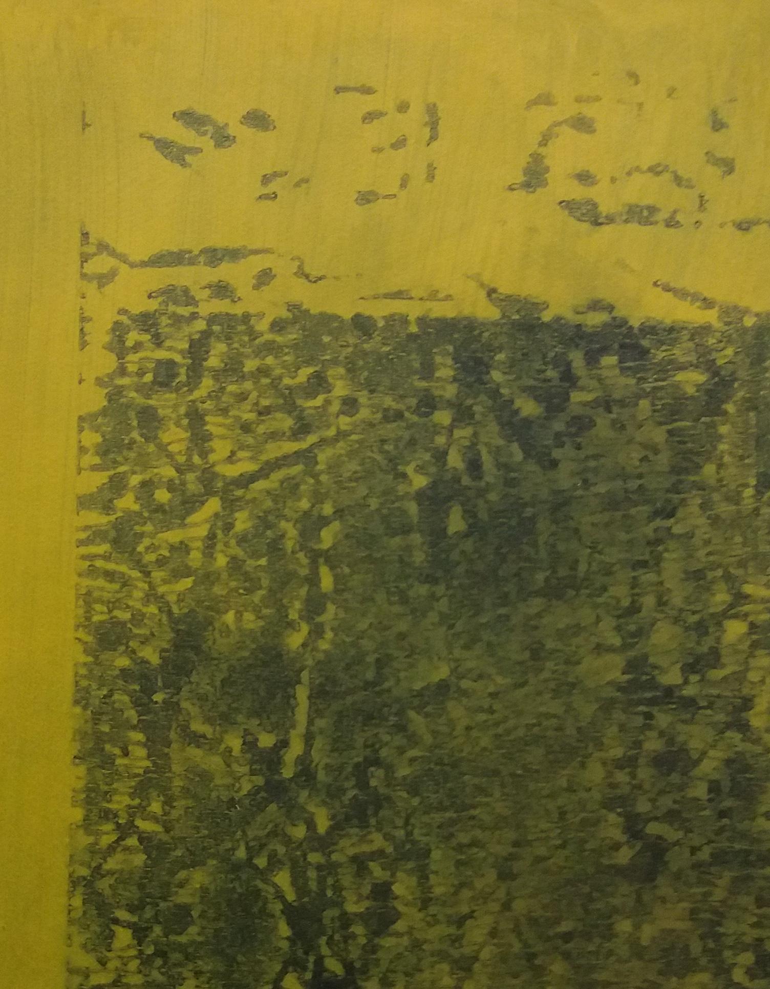 Ruz-Platz  Grüne Interieurlandschaften –  Abstraktes Gemälde in Acryl auf Papier (Braun), Abstract Painting, von RAFAEL RUZ