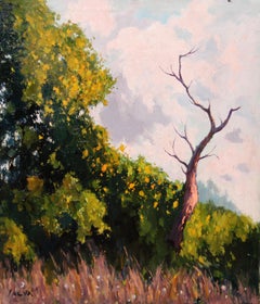 Óleo sobre tela - Paisaje