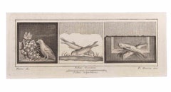 Dekoration mit Tieren – Radierung von Raffaele Barone – 18. Jahrhundert
