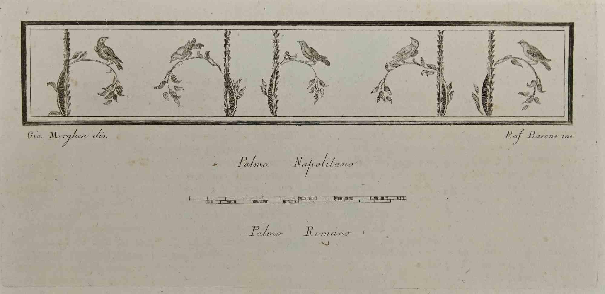 Sparrows On Boughs, Roman Fresco from "Antiquities of Herculaneum" is an etching on paper realized by Raffaele Barone in the 18th Century.

Signed on the plate.

Good conditions.

The etching belongs to the print suite “Antiquities of Herculaneum