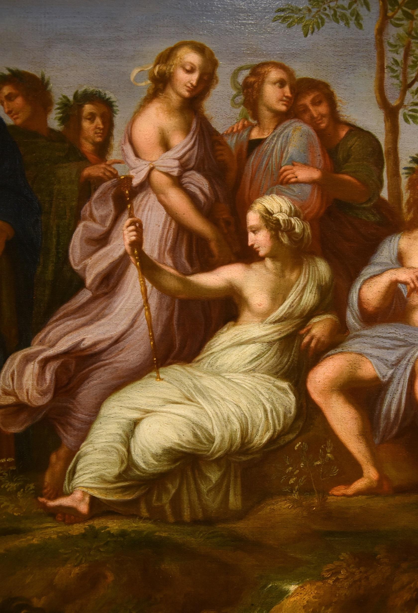 Parnassus Apollo after Raffaello Oil on canvas 17/18th Century Old master  For Sale 11
