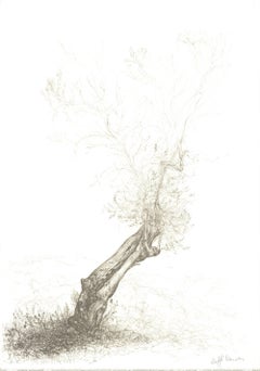 Lithographie Raffi Kaiser « Solitaire Tree stump » en noir et blanc, marron, 1982