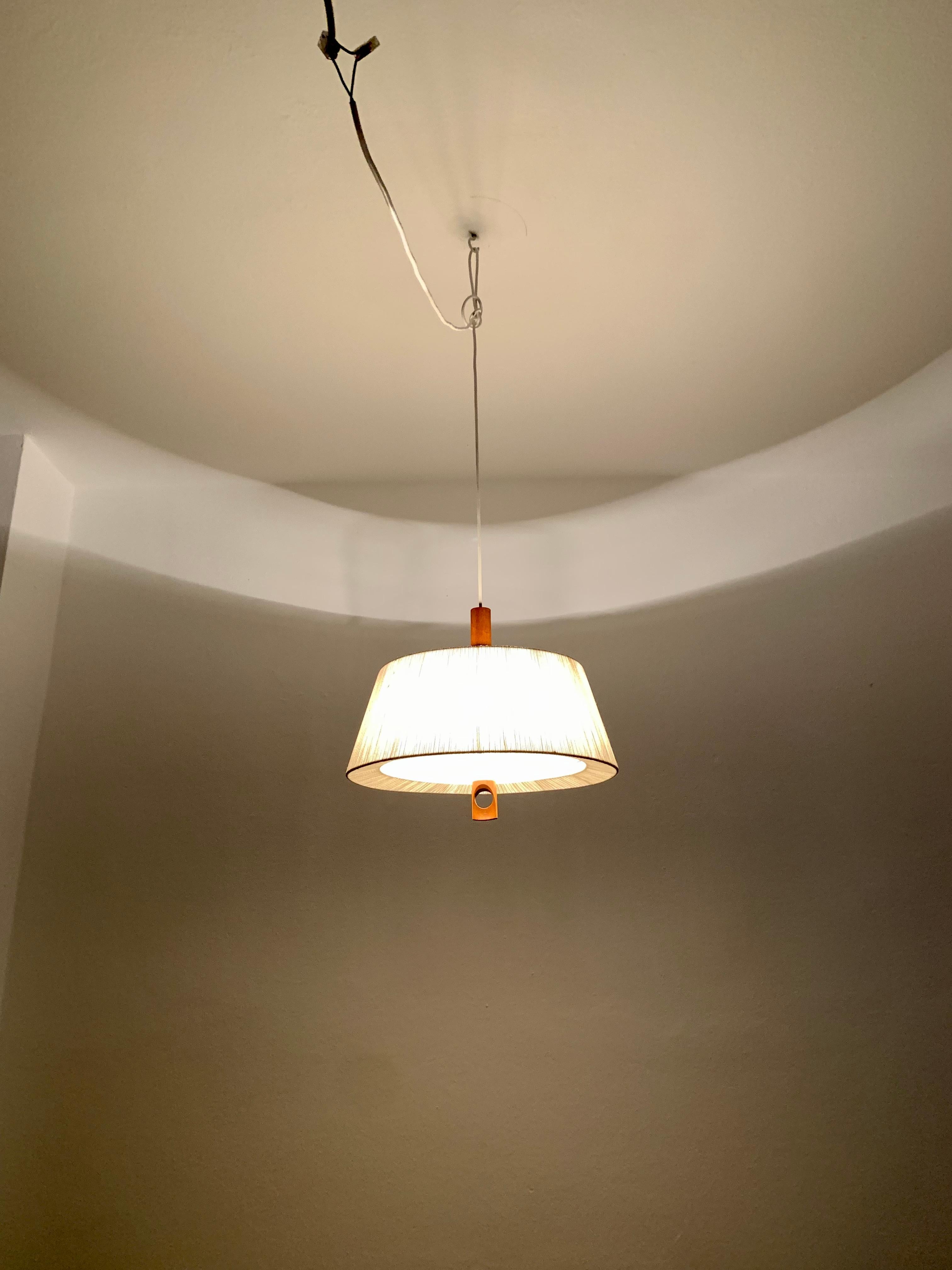 Raffia Bast and Walnut Pendant Lamp by Temde For Sale 4