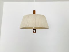 Raffia Bast and Walnut Pendant Lamp by Temde
