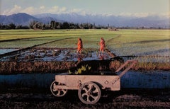 "Paddy-Pflanzung, am Stadtrand von Srinagar, Kaschmir, 1985" Signiert 1/20