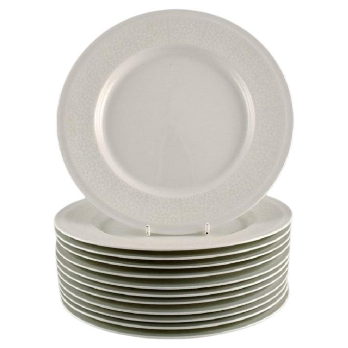 Raija Uosikkinen for Arabia, Twelve Rare Pitsi Lunch Plates For Sale