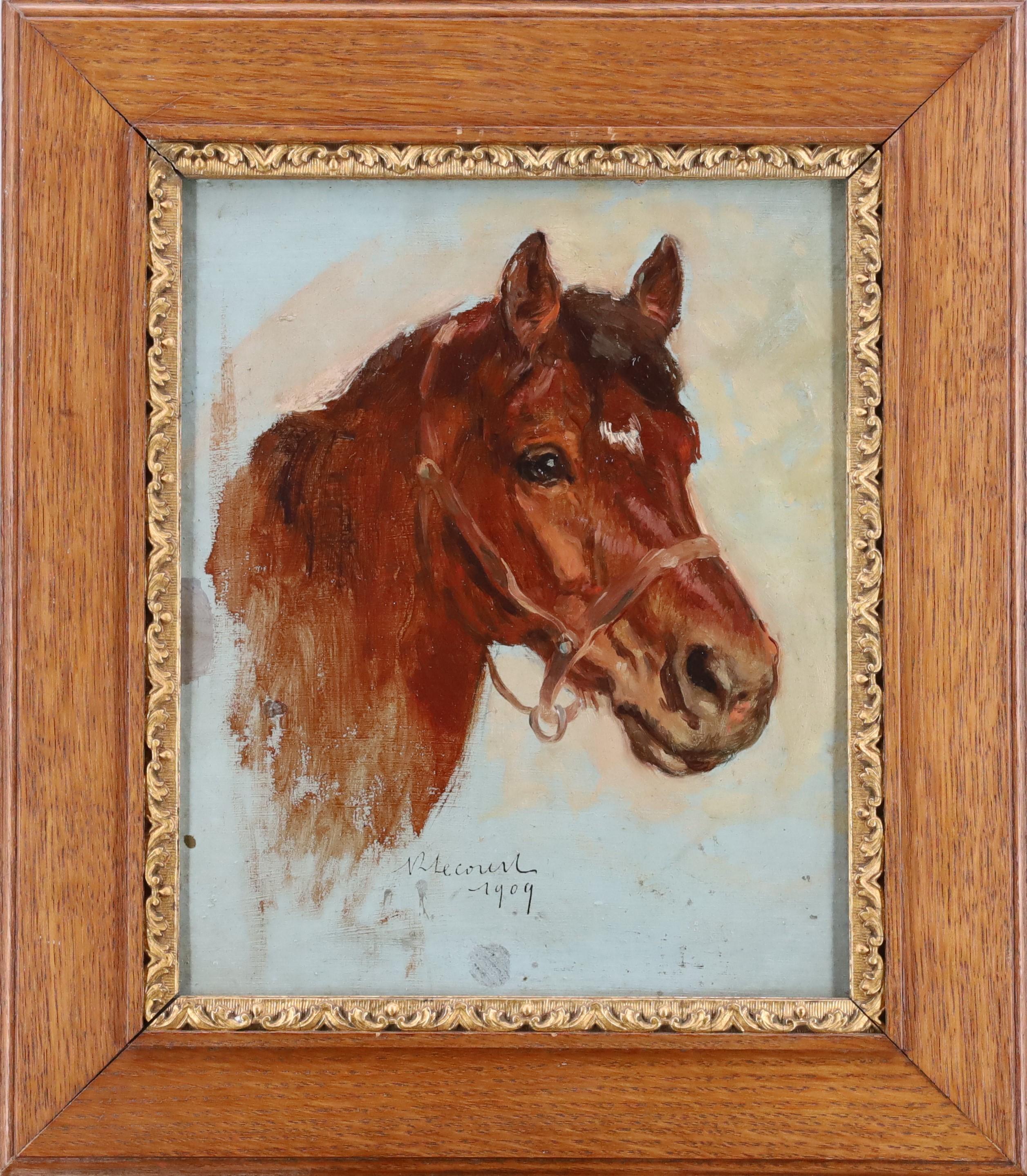 Studio della testa di un cavallo - Painting di Raimond Lecourt 