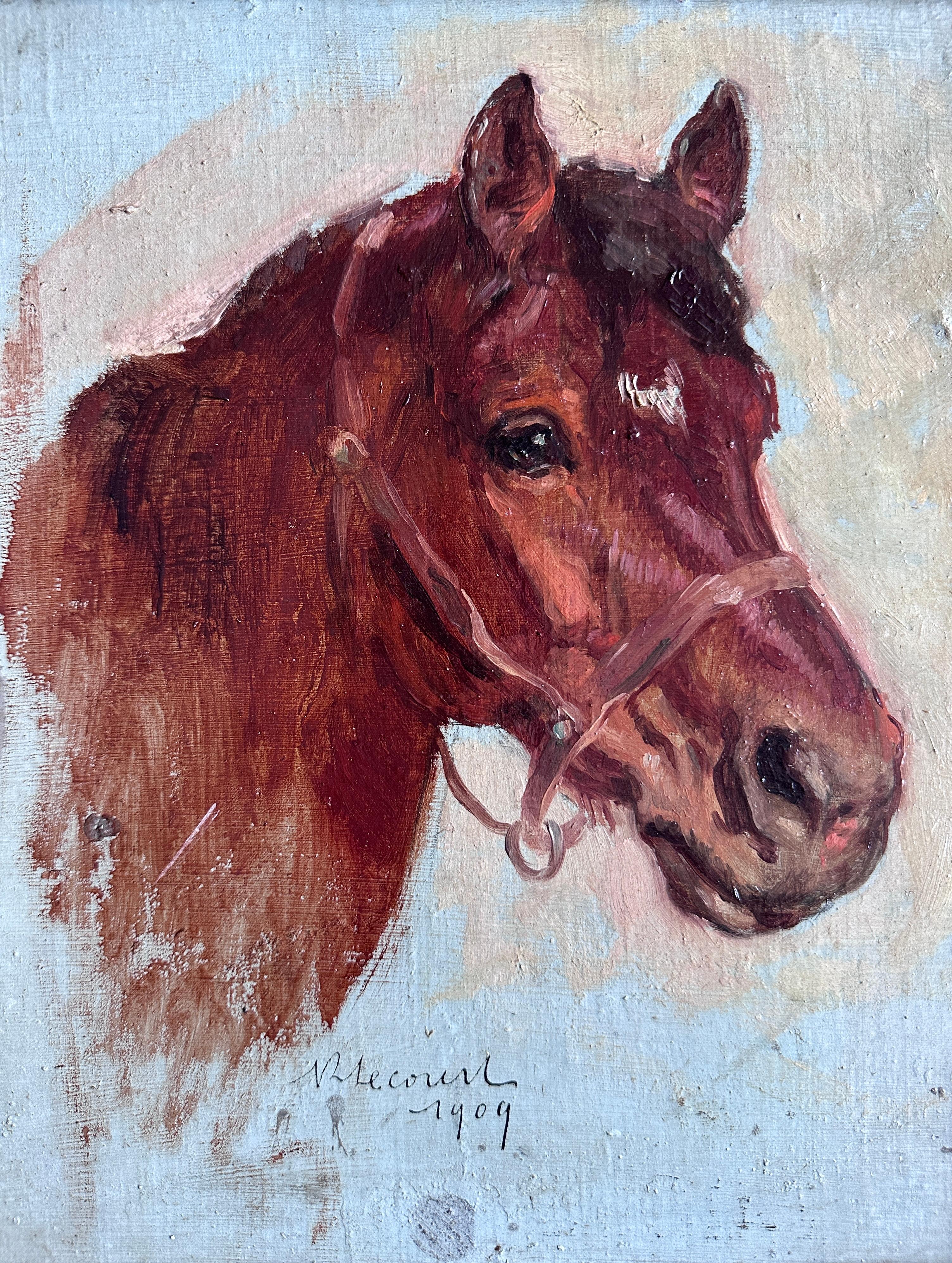 Studio della testa di un cavallo in vendita 1