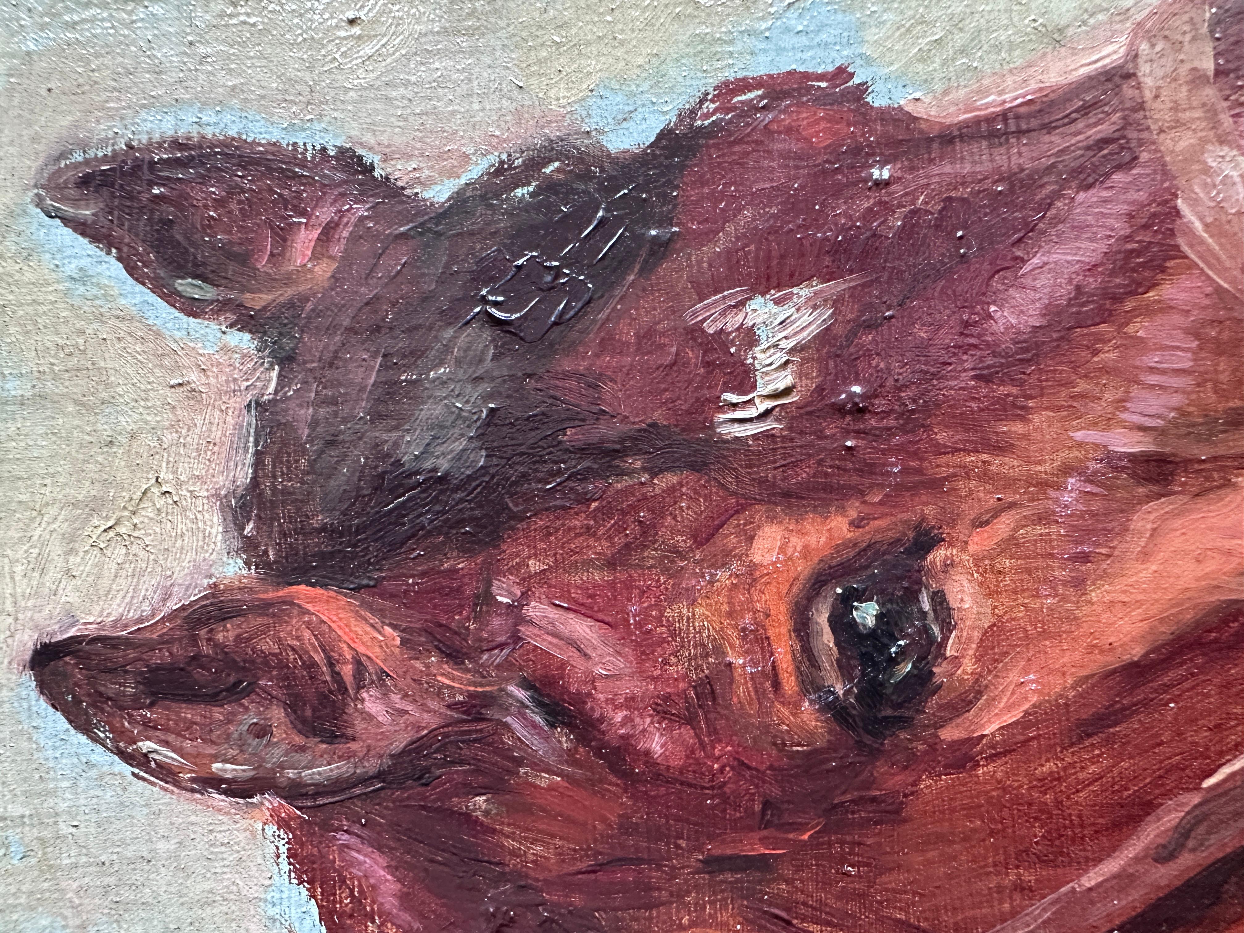 Studio della testa di un cavallo in vendita 4