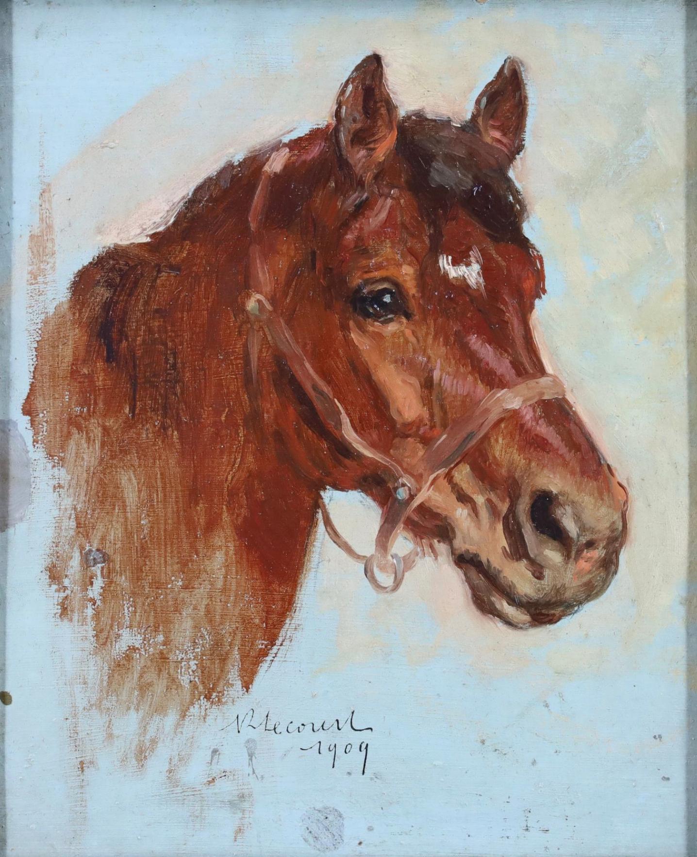 Estudio de la cabeza de caballo
