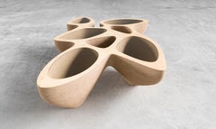 Organischer Couchtisch aus Sperrholz - Skulpturales parametrisches CNC-geschnittenes Design