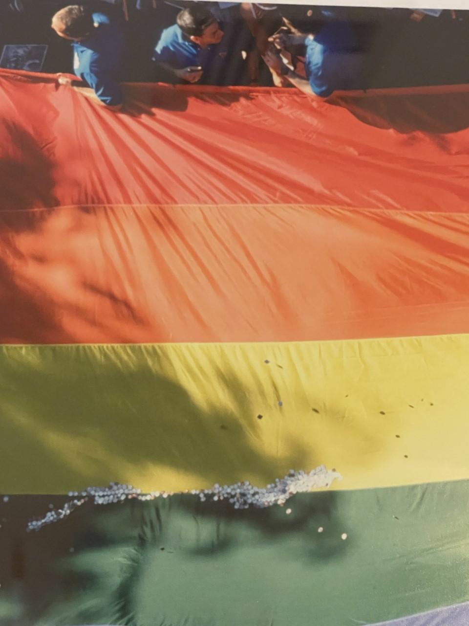 Rainbow Flagge, Gay Pride März, NY 1990 von Suzanne Poli 1/25 (amerikanisch) im Angebot