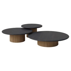 Raindrop Coffee Table Set, 600, 800, 1000, Black Oak / Oak