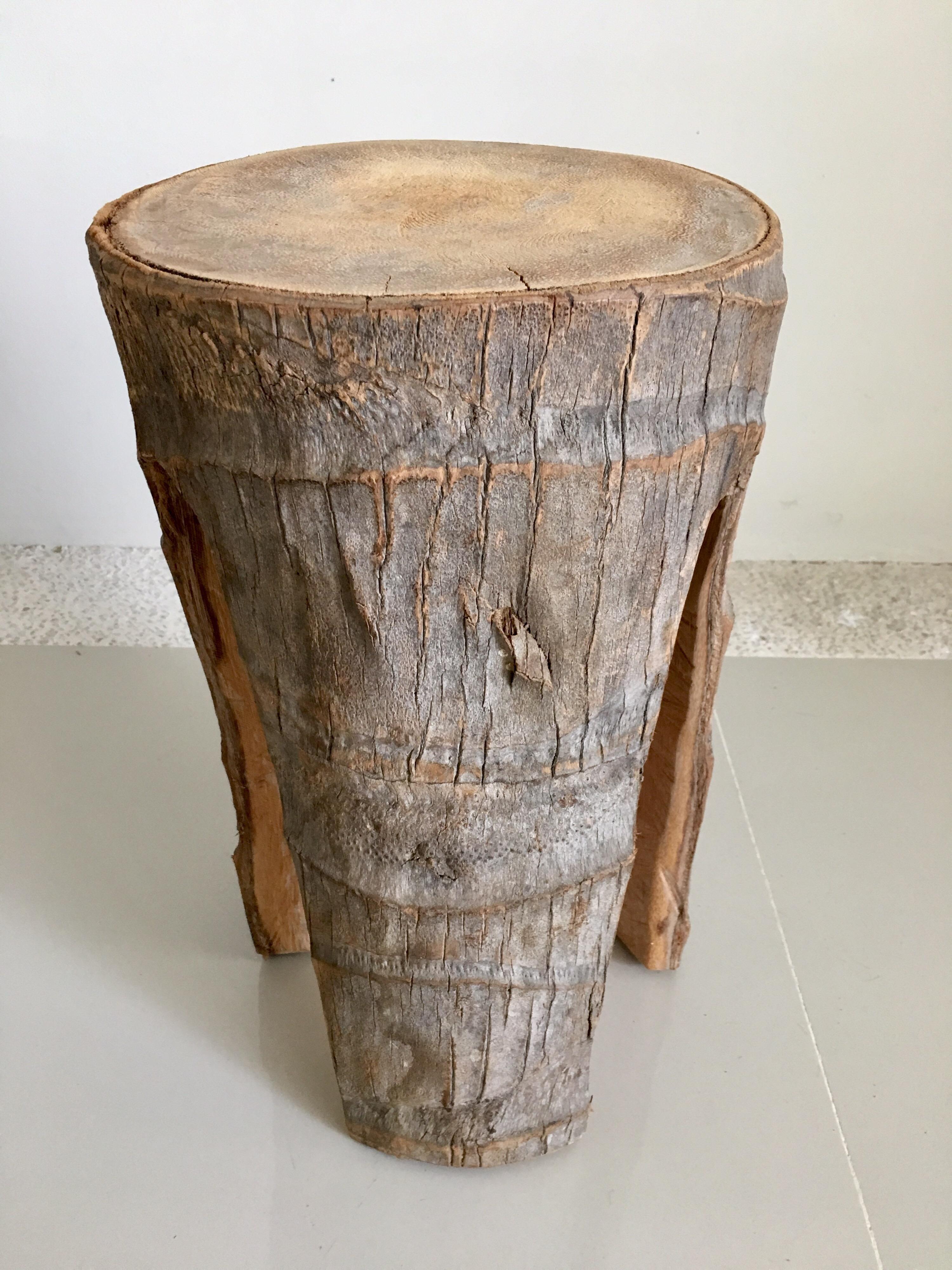 Rustic Rainforest Stool from Mexico