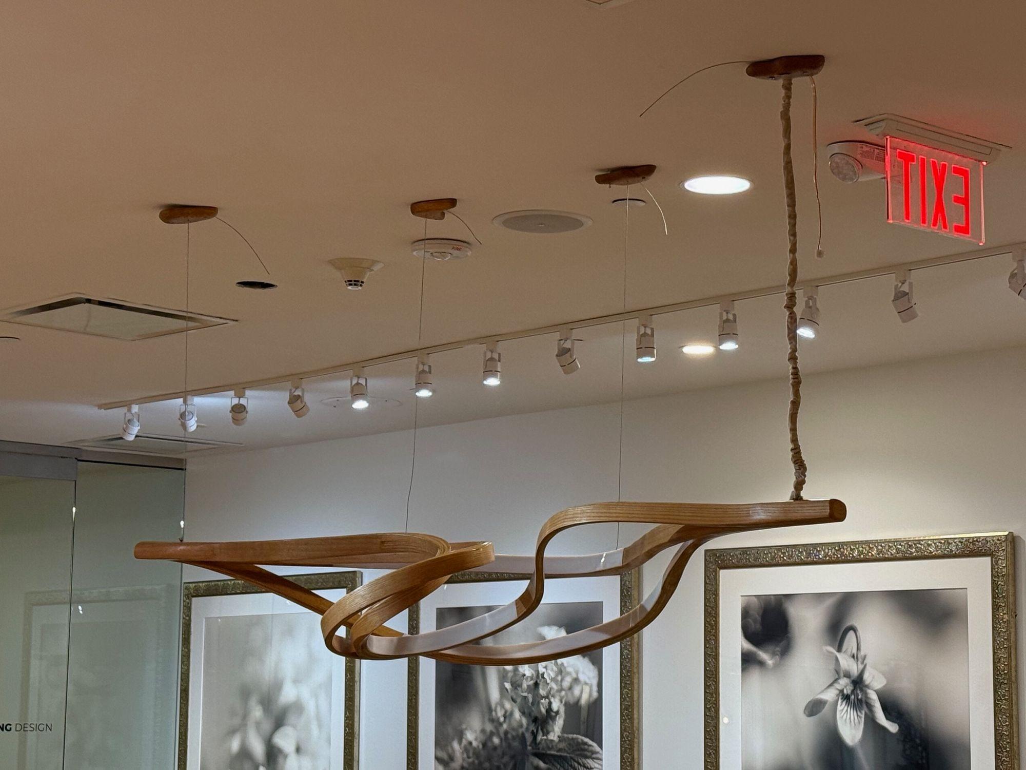 Organique Raka Studio, Lustre contemporain, Organic Modern, Bentwood, LED, 21st C.