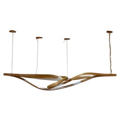 Raka Studio, Araña contemporánea, moderna y orgánica, madera curvada, LED, S. XXI