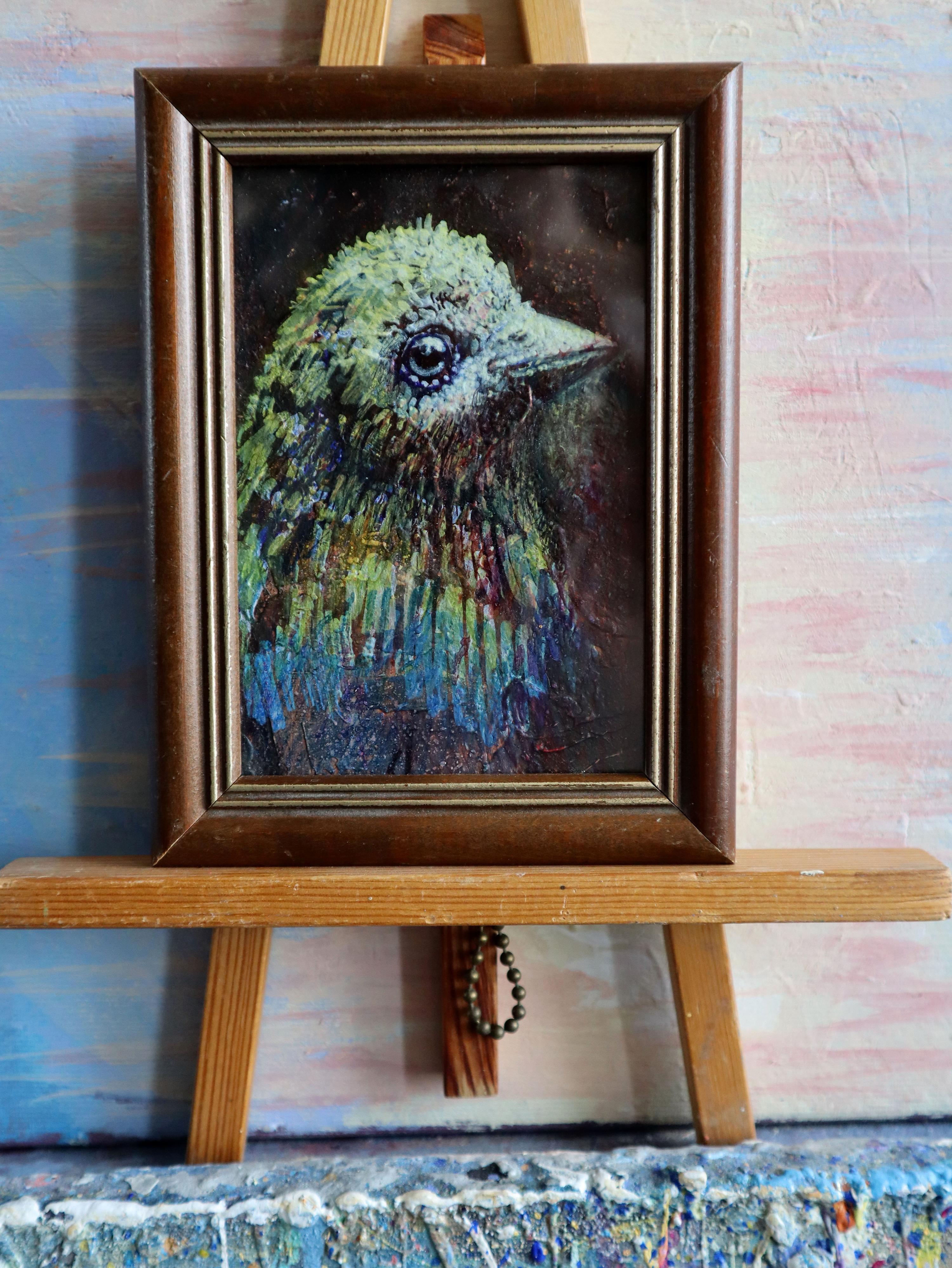 BIRD  19 For Sale 5