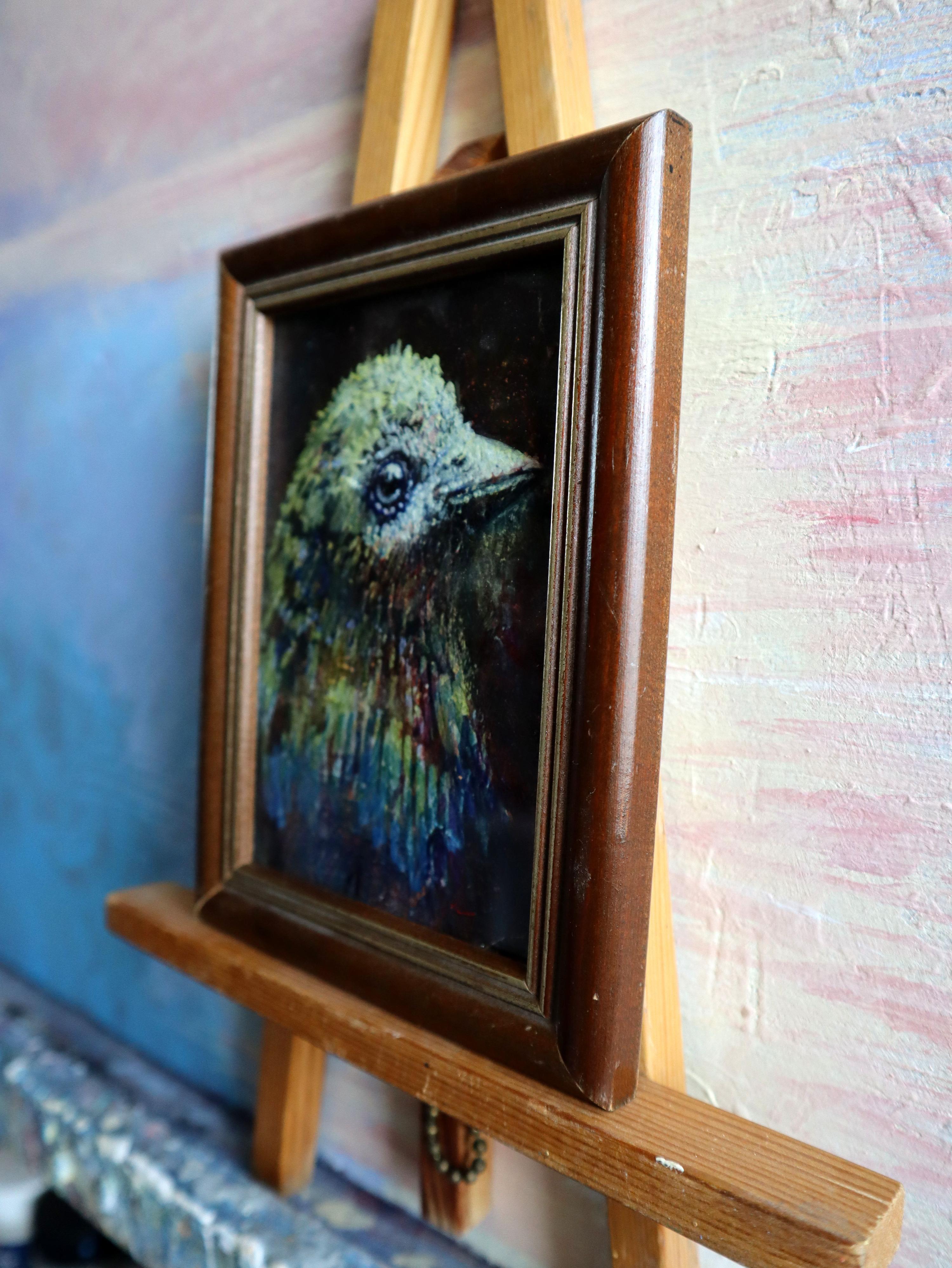 BIRD  19 For Sale 6